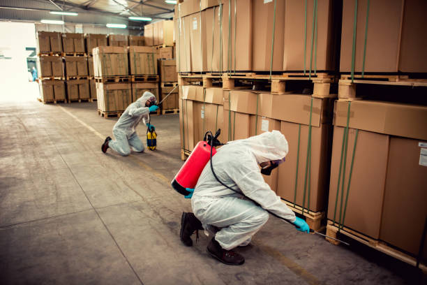 Best Local Pest Control Services  in Pontiac, IL