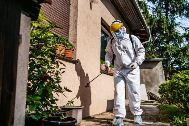 Best Spider Control Near Me  in Pontiac, IL