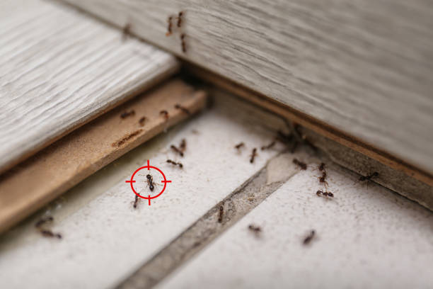 Wildlife Control Services in Pontiac, IL