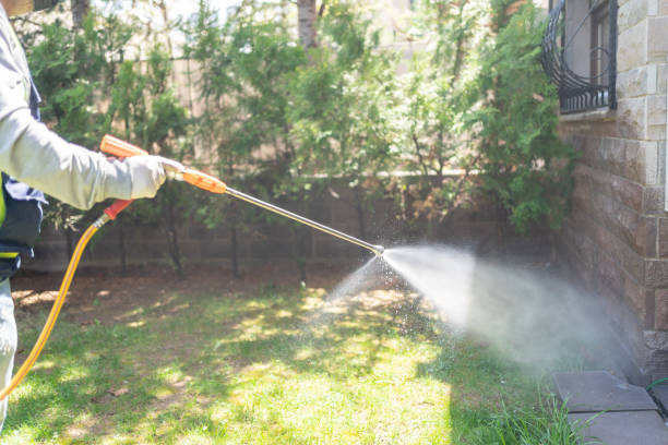Best Pest Removal Services  in Pontiac, IL