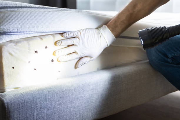 Best Ant Control Services  in Pontiac, IL