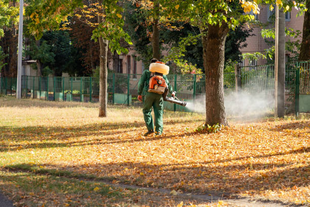 Best Exterminator Services  in Pontiac, IL
