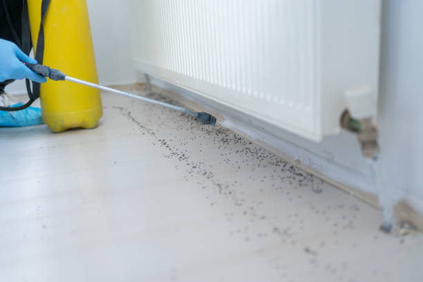 Best Pest Inspection Near Me  in Pontiac, IL