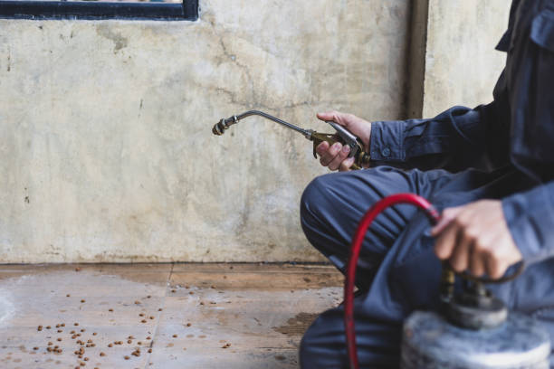 Best Termite Control Services  in Pontiac, IL